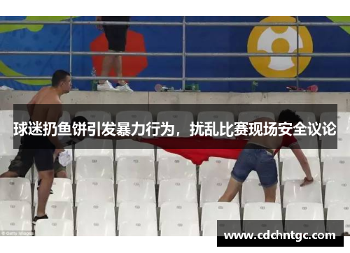 球迷扔鱼饼引发暴力行为，扰乱比赛现场安全议论